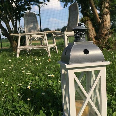 Il "Green " In Giardino Ferrara Kültér fotó