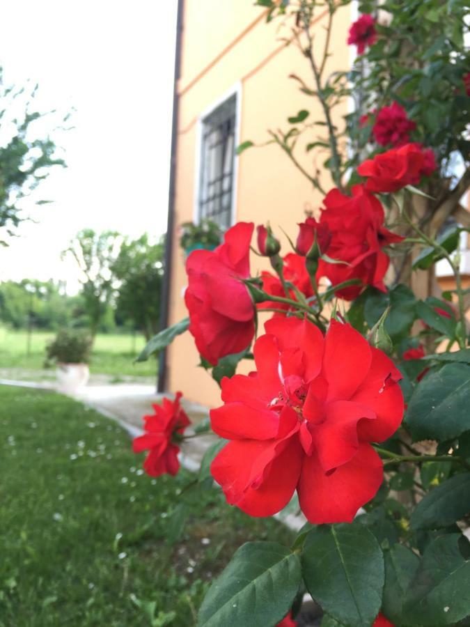 Il "Green " In Giardino Ferrara Kültér fotó