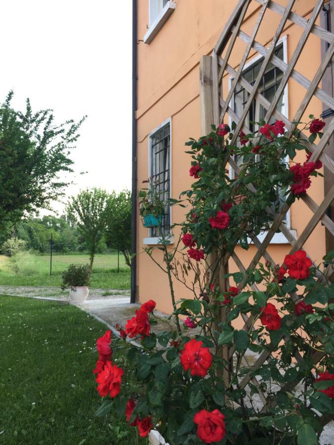 Il "Green " In Giardino Ferrara Kültér fotó